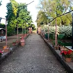 Alle Vecchie Mura Bed & Breakfast Pistoia
