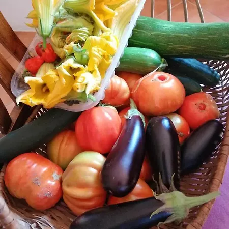 Alle Vecchie Mura 4*