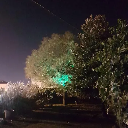 Alle Vecchie Mura 4* Pistoia