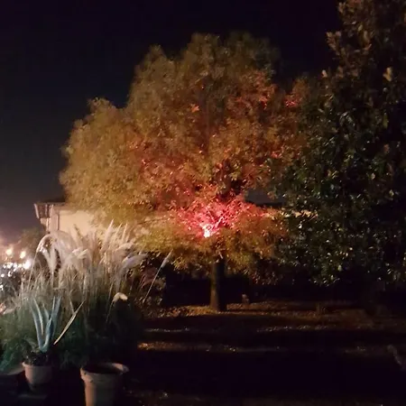 Alle Vecchie Mura 4* Pistoya
