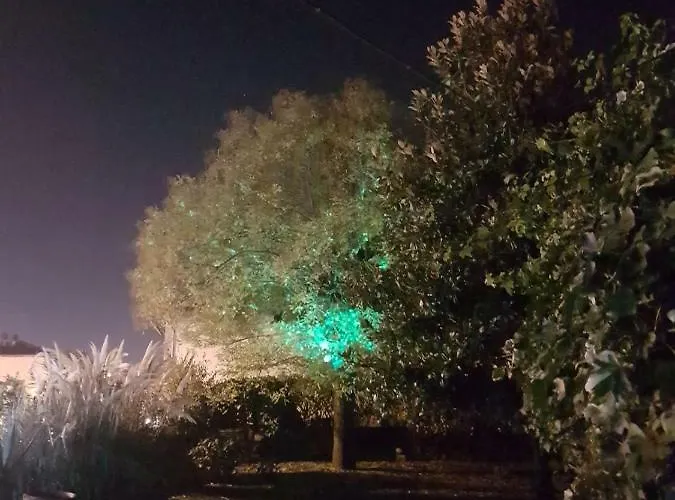 Alle Vecchie Mura 4* Πιστόια