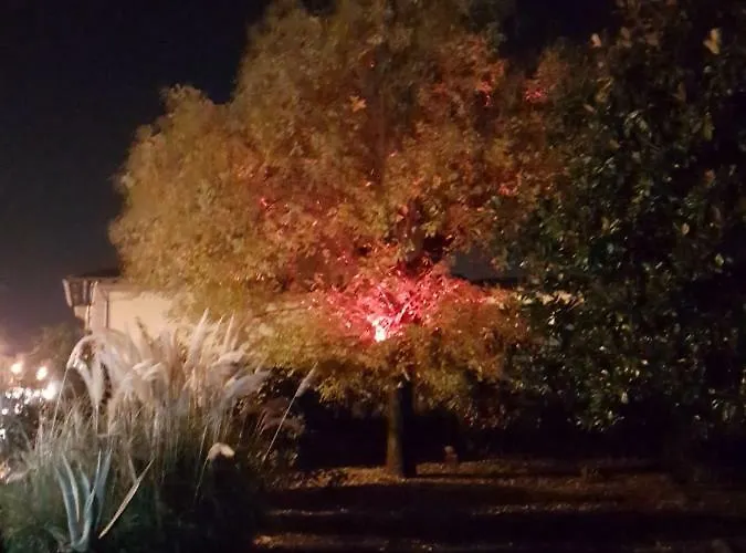 Alle Vecchie Mura 4* Πιστόια